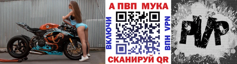 Alfa_PVP СК  Кириши 