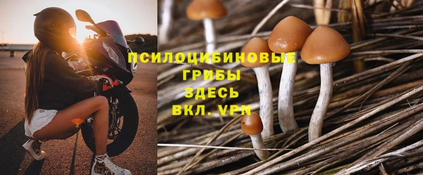 МДПВ Богородск
