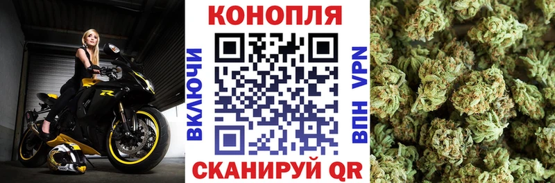 сайты даркнета телеграм  MEGA ССЫЛКА  Кириши  Марихуана ГИДРОПОН 